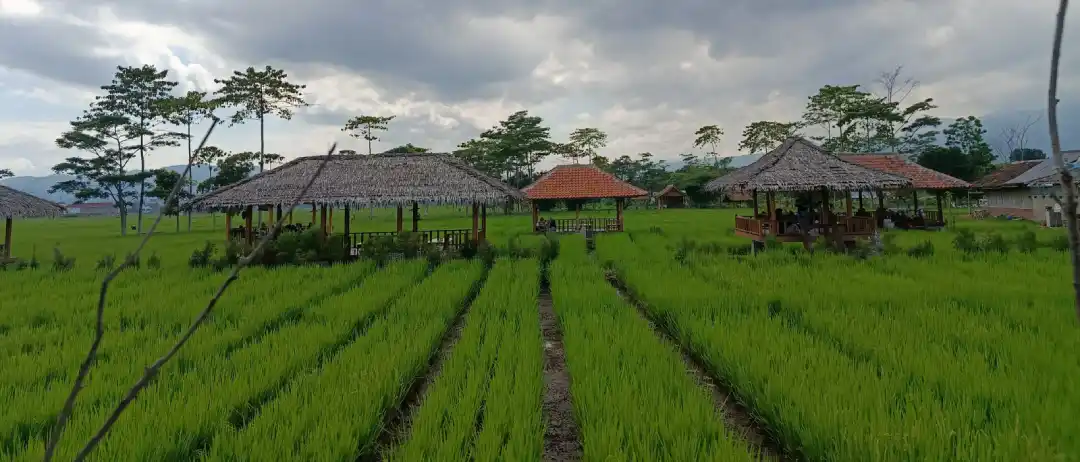 Economie Rurale