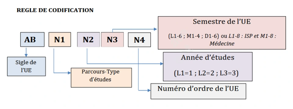 REGLE DE CODIFICATION