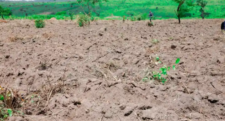 Site KALOMO